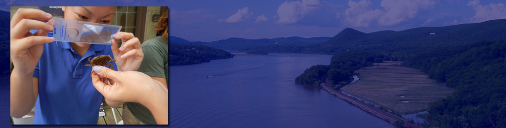 Ny Sea Grant Welcome