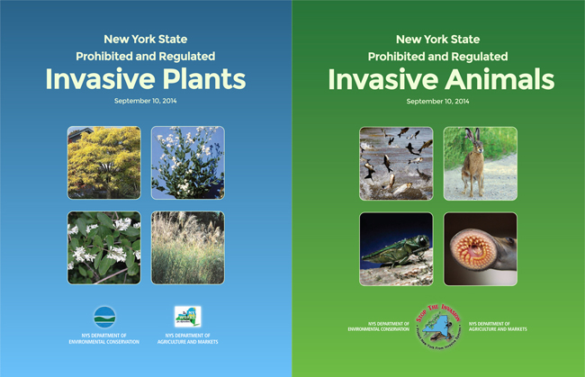 NY Sea Grant | NYSG: Aquatic Invasive Species (News-Booklets: New York  State Prohibited and Regulated Invasive Plants & Animals, July'15)