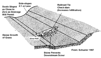 Vegetated Swale